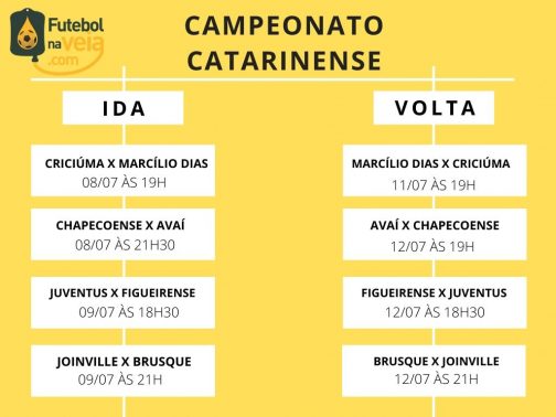 Campeonato Catarinense (Foto: Divulgação/FNV)