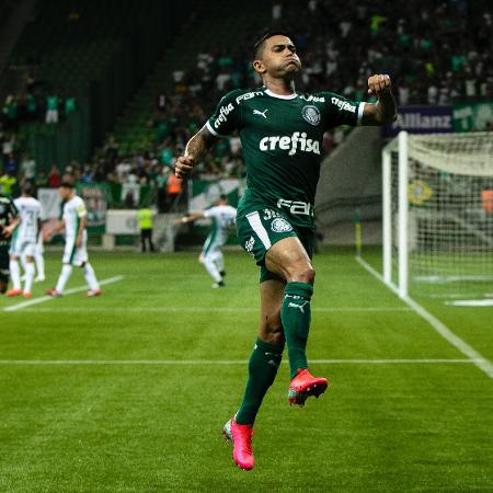 Dudu jogou bem como meia no Palmeiras?