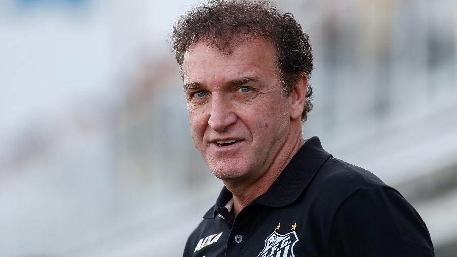 Cucabol: é o melhor técnico no Brasil?