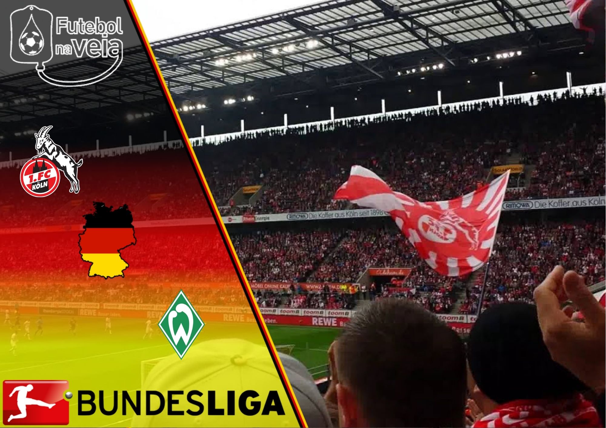 Colônia x Werder Bremen – 07/03 – Prognóstico & Palpites