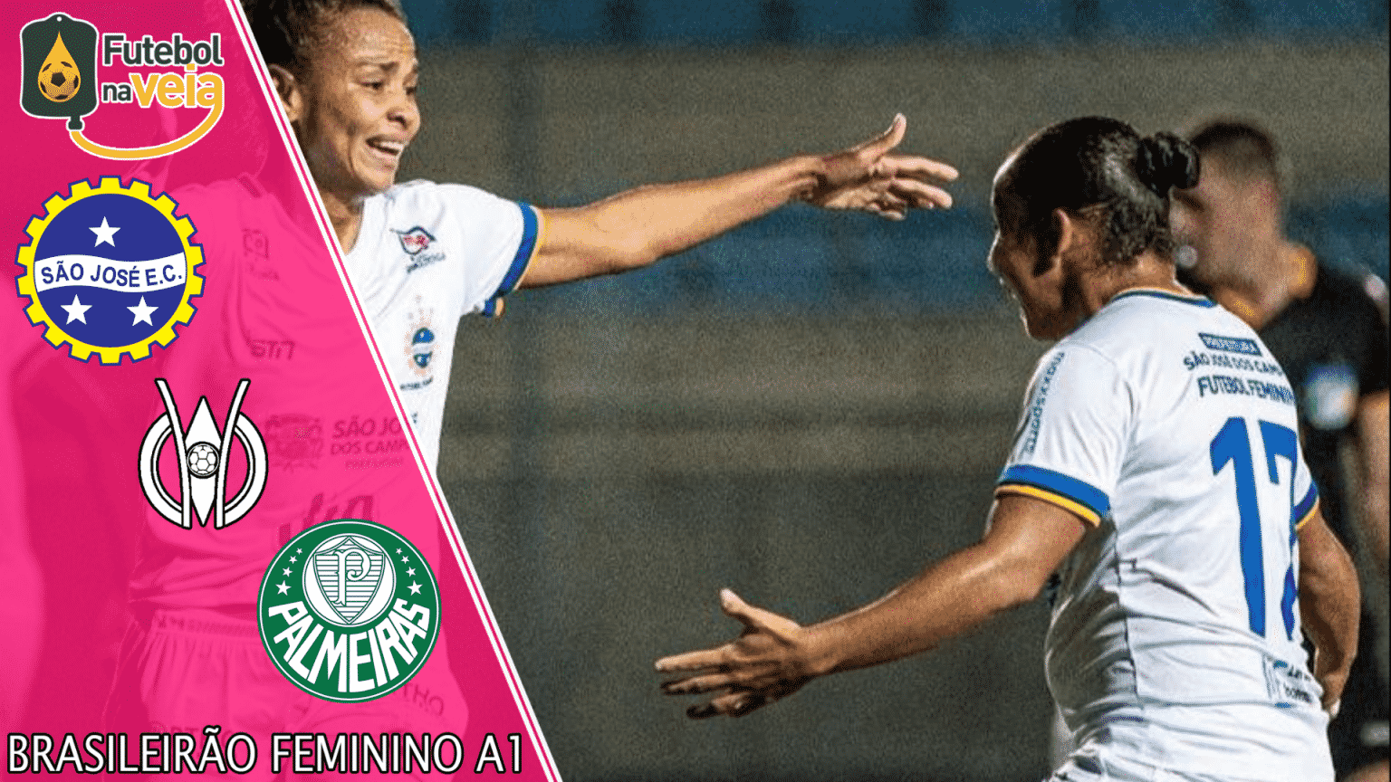 S&atilde;o Jos&eacute; x Palmeiras &ndash; Progn&oacute;stico & Palpite &ndash; 25/05
