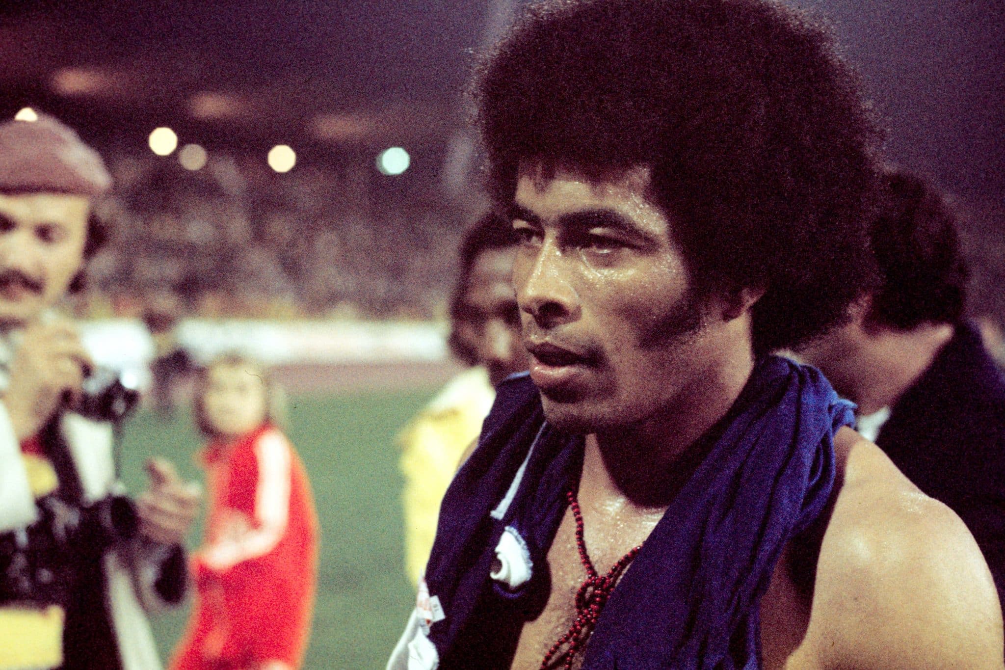 Top 5 Ídolos do futebol: Botafogo-RJ