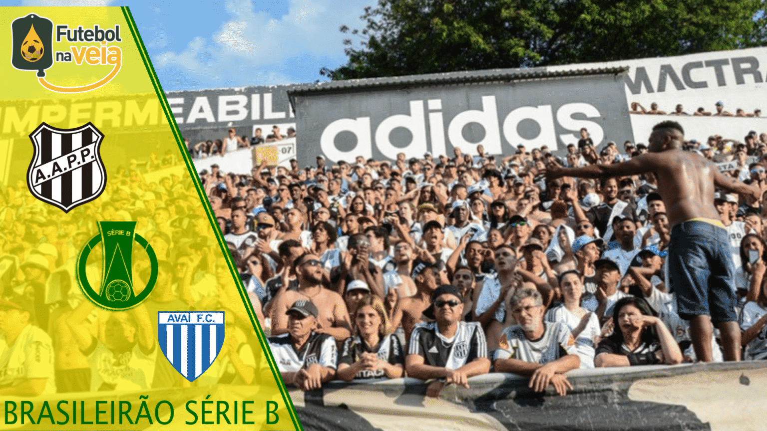 Ponte Preta x Avaí- Prognóstico & Palpite- 06/07