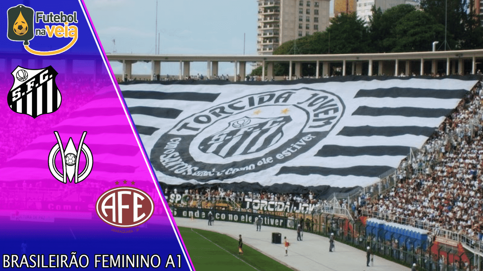 Santos x Ferroviária – Prognóstico & Palpite – 23/08