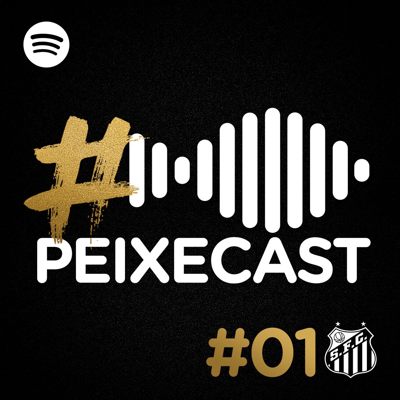 Podcast do Santos, Sócio por R$ 10,00, veja outras ações que podem ocorrer