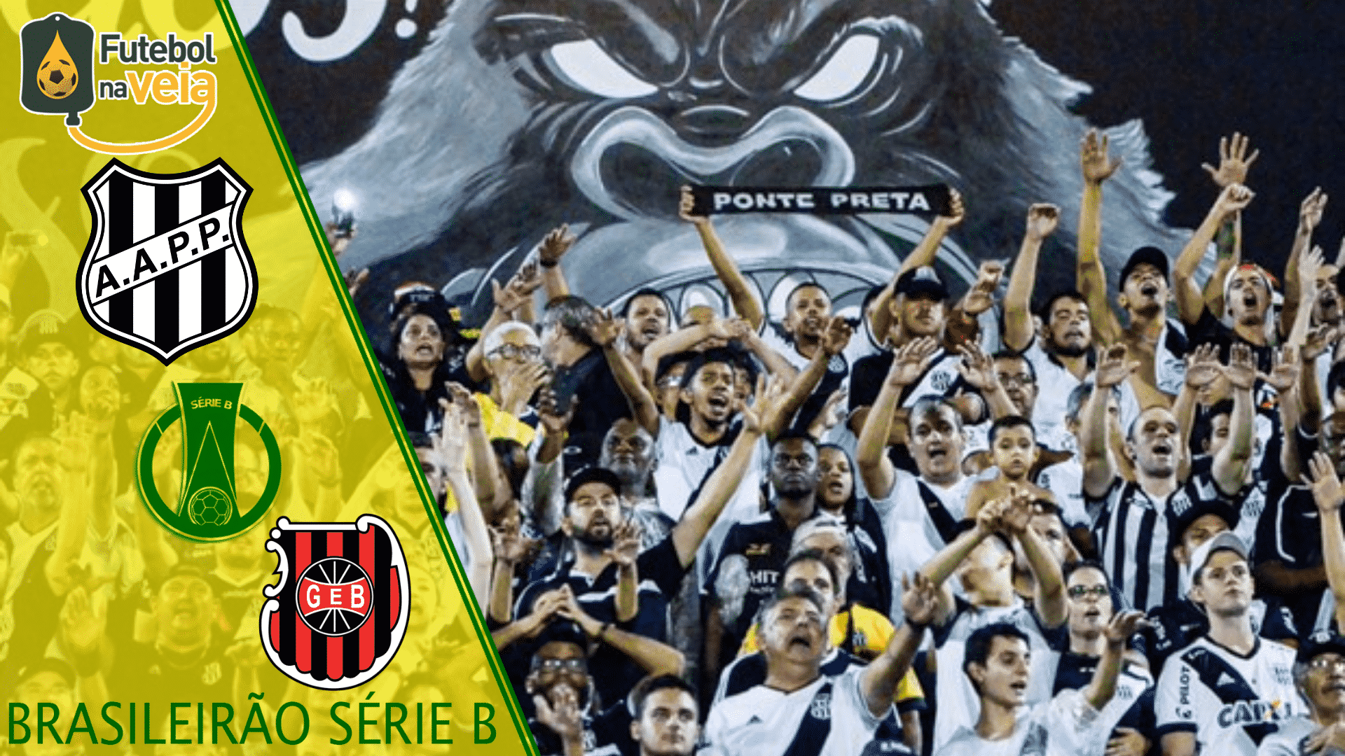 Ponte Preta x Brasil de Pelotas