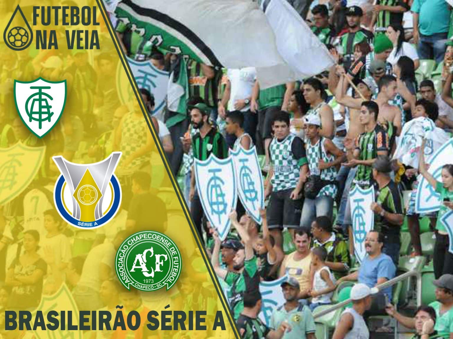 Am&eacute;rica-MG x Chapecoense &ndash; Progn&oacute;stico & Palpite &ndash; 30/11