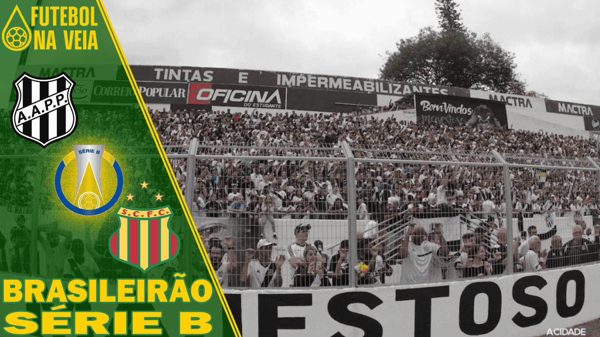 Palpites Ponte Preta x Sampaio Corrêa – 23/06- Brasileirão Série B 2022