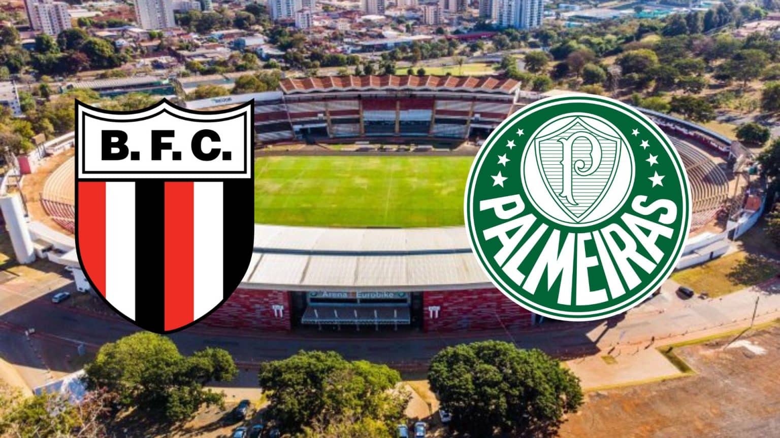 Botafogo SP x Palmeiras Ao Vivo E Online: Onde Assistir, Horário E Escalação No Paulistão 2023