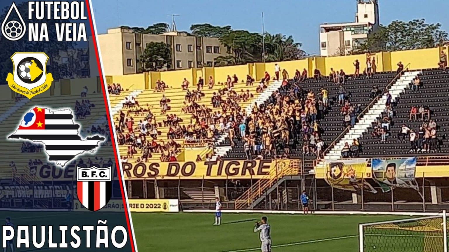 Palpite São Bernardo x Botafogo-SP – 19/02 – Campeonato Paulista 2023
