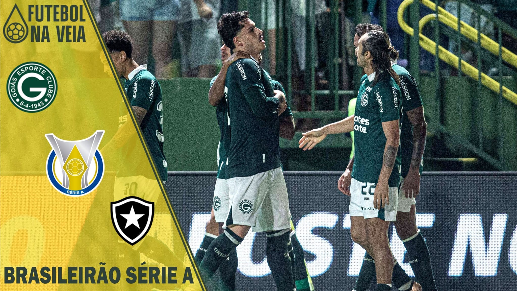 Palpite Goiás x Botafogo – 14/05 – Brasileirão Série A 2023